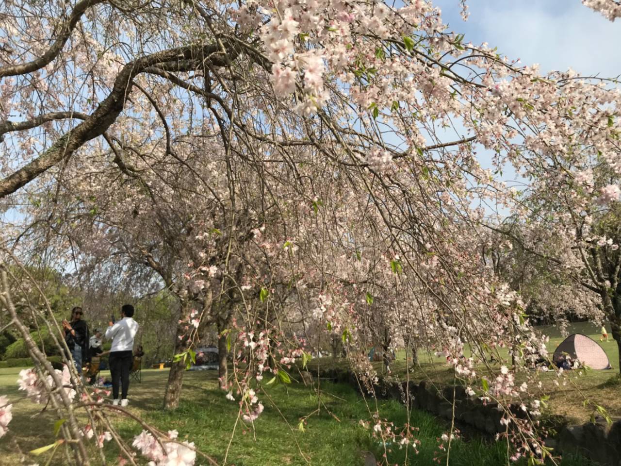 愛知森林公園